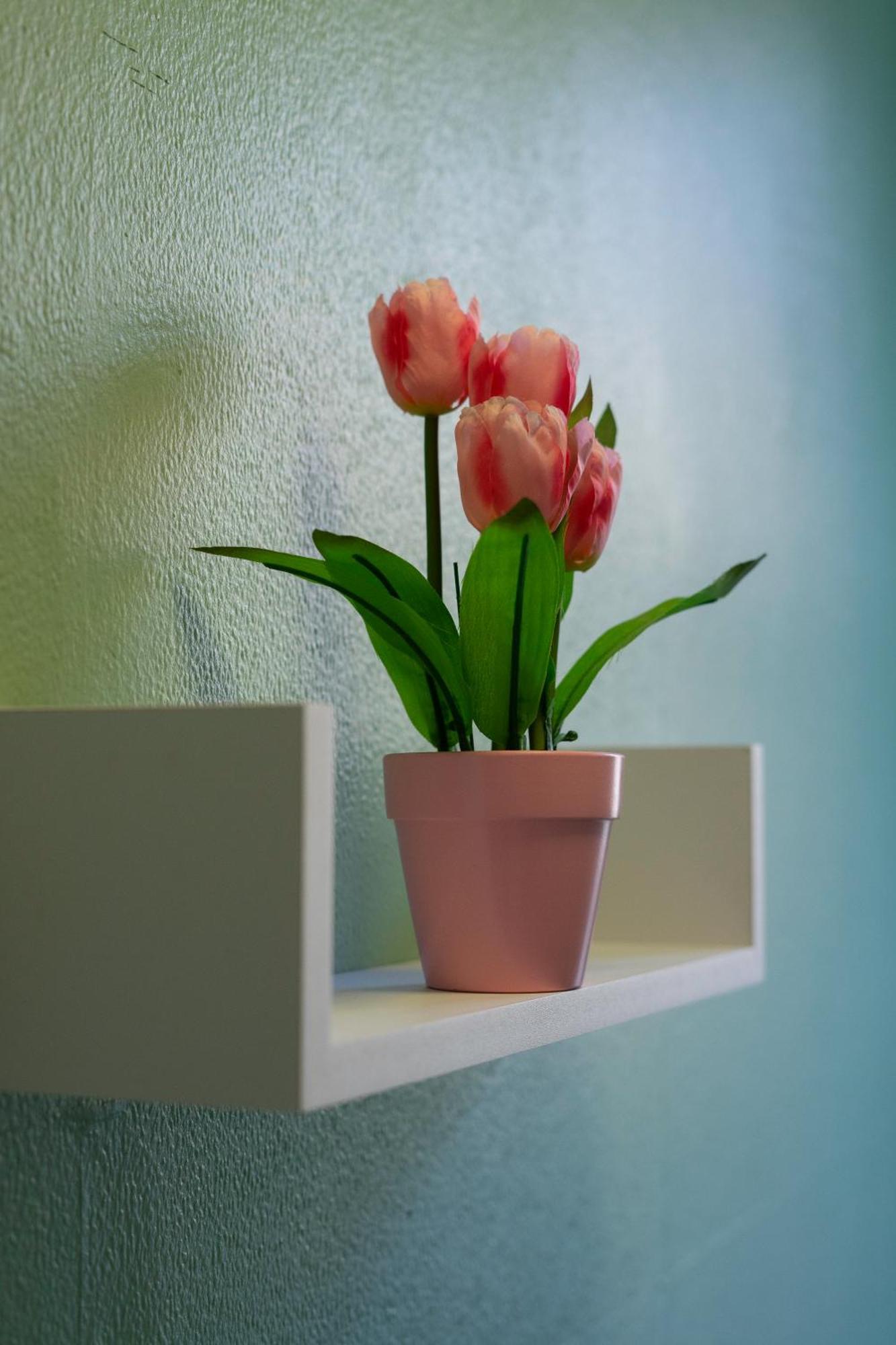 The Eden Apartment, Edinburgh City Center 외부 사진